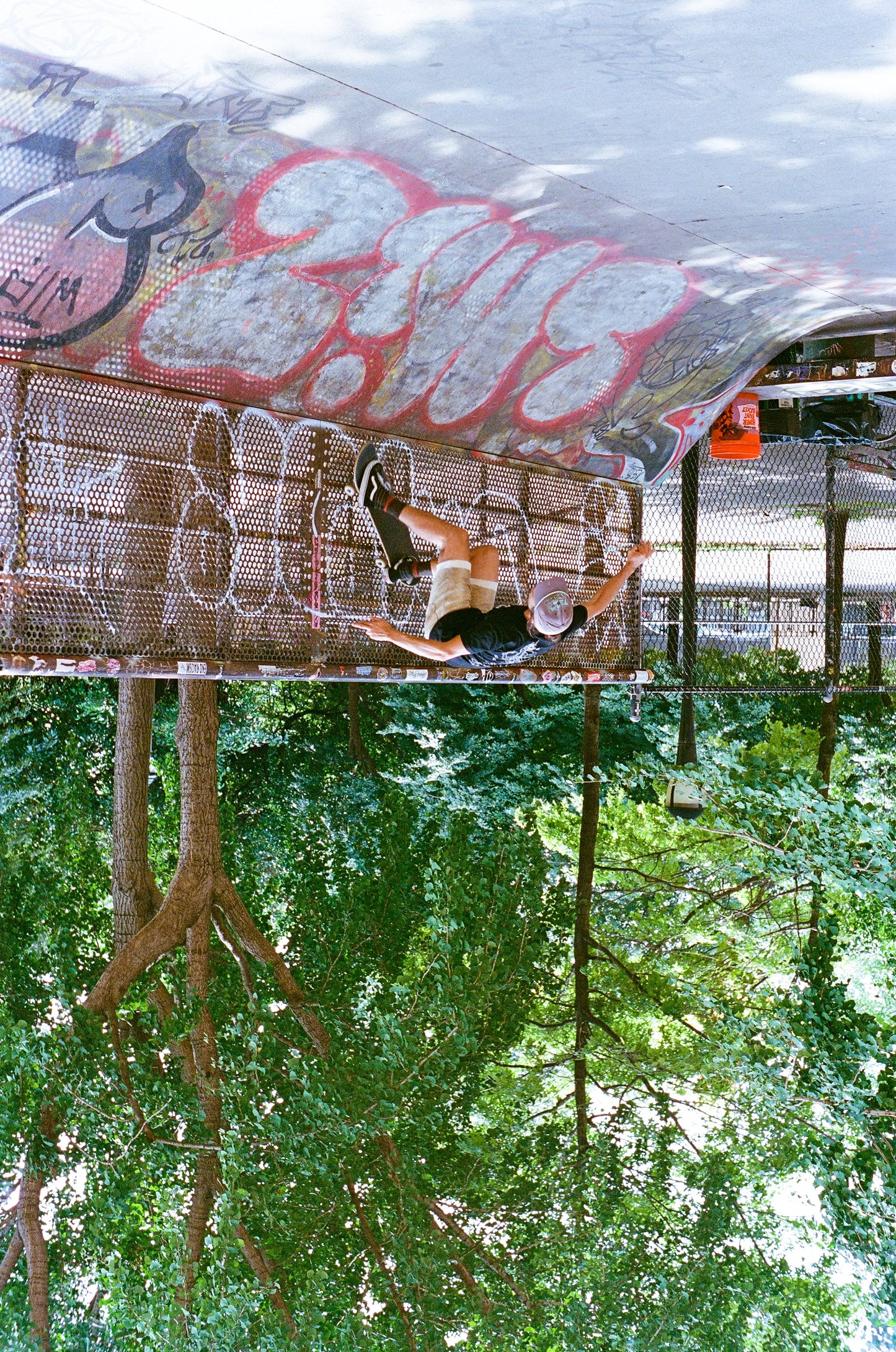 Tree Skate